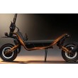 Patinete eléctrico Rovoron R7 DGT