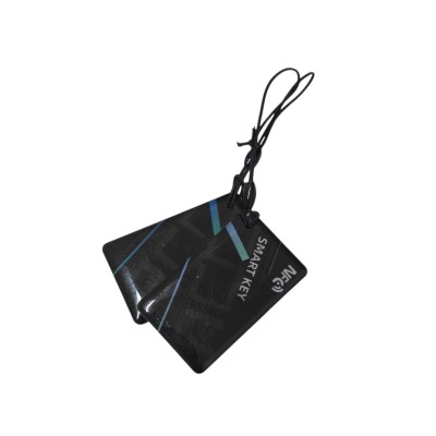 Display para patinete ecoxtrem M41 Dual 52V