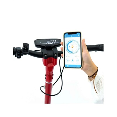 Display para Smartgyro K2 - 5 pin, sin carcasa (DESLIMITABLE)
