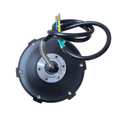 Motor Dualtron Victor
