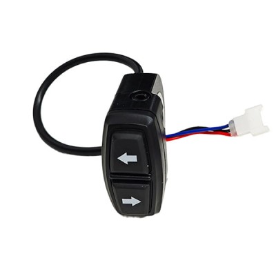 Botonera luz intermitente para smartGyro k2