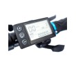Display S866 compatible con Smartgyro (Impermeable)