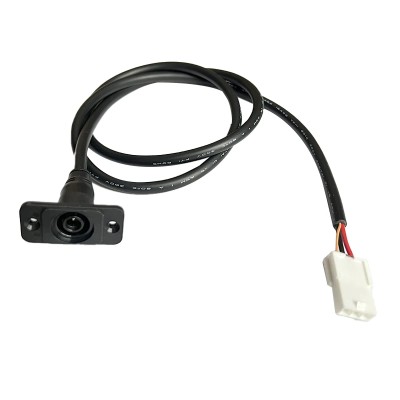 Cable puerto de carga 48V para Segway Ninebot ZT3 Pro