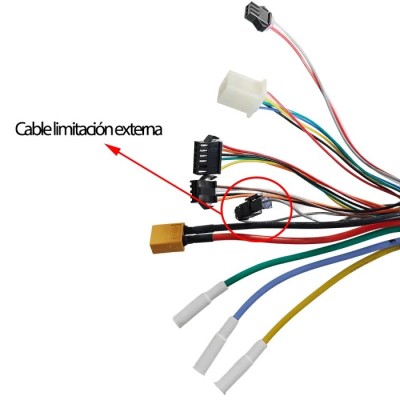 Controladora Speedway/Rockway PRO Homologada con cable limitable [smartGyro]